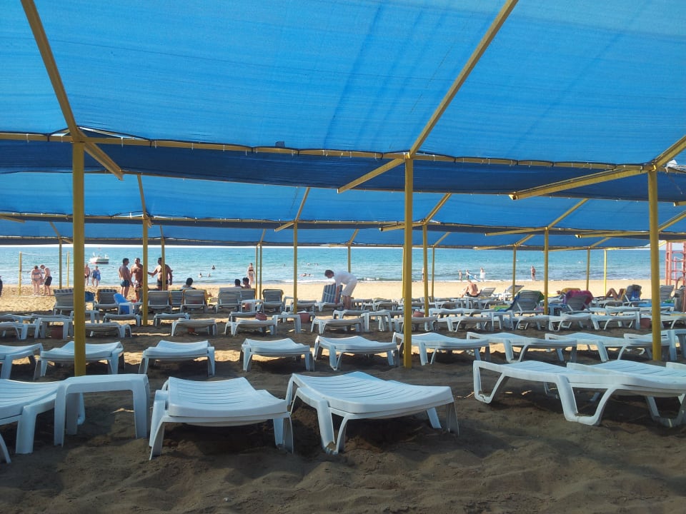 Bild wurde von ca. der Mitte des Strandes gemacht Hotel Orfeus Park