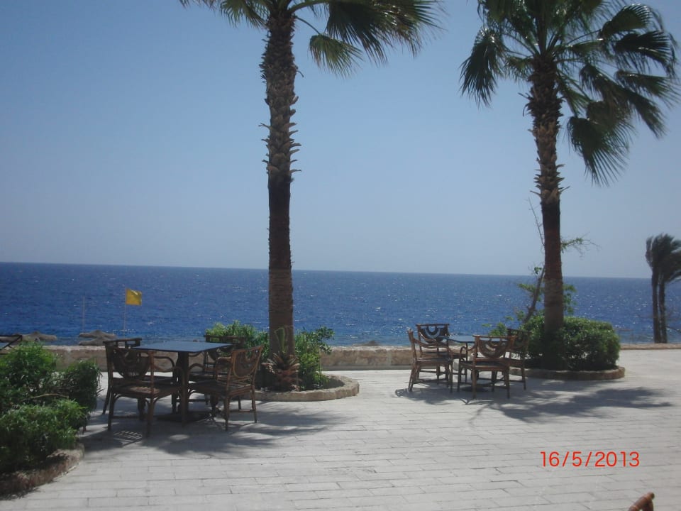 Citadel Azur Resort Pickalbatros Citadel Resort