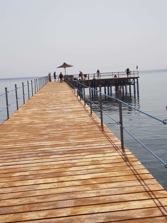 Strand Blue Reef Red Sea Resort