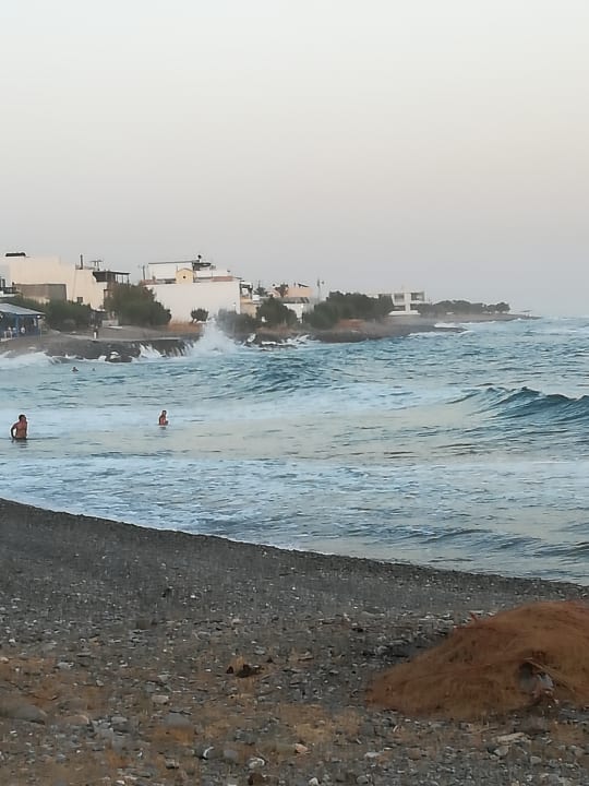 Ausblick Hotel South Coast