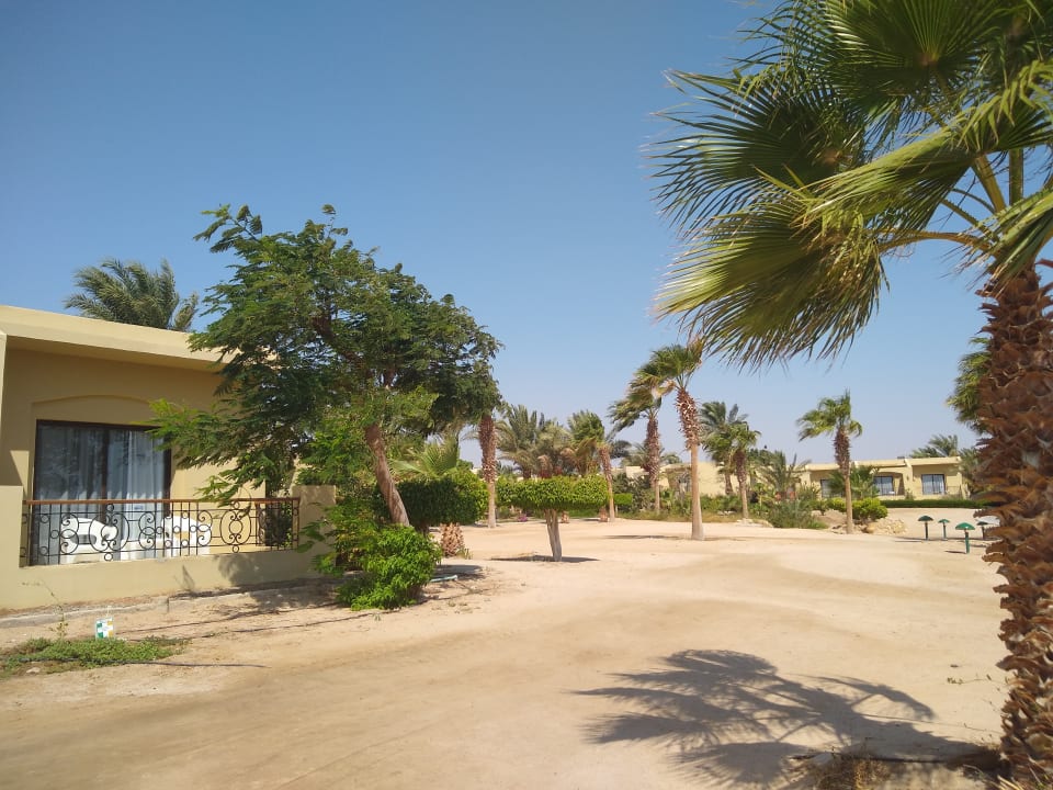 Gartenanlage Three Corners Fayrouz Plaza Beach Resort