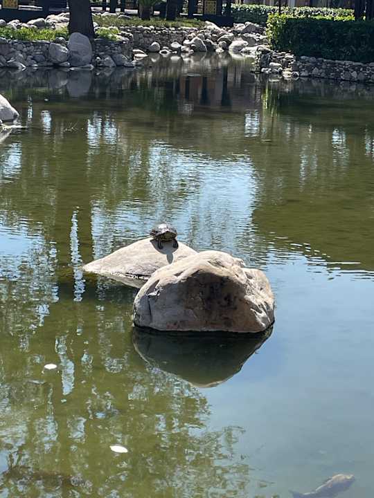 Gartenanlage Limak Limra Hotel & Resort