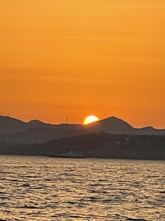 Ausblick TUI MAGIC LIFE Bodrum - Adult Only (16+)