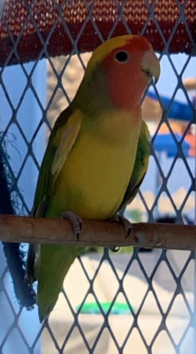 Sonstiges Riviera Aqua Park Resort