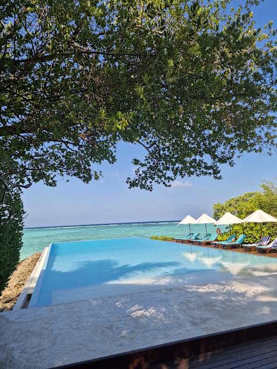 Pool Summer Island Maldives
