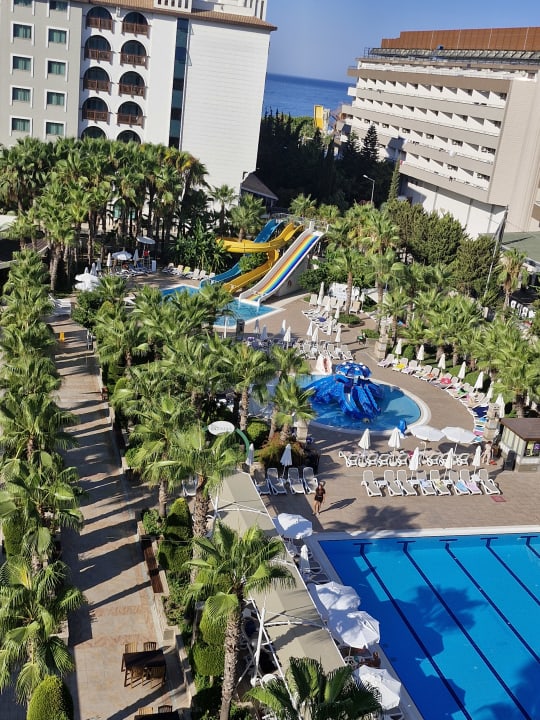 Gartenanlage Dizalya Palm Garden