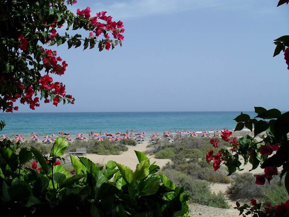 Blick von der Poolbar zum Strand SBH Hotel Taro Beach