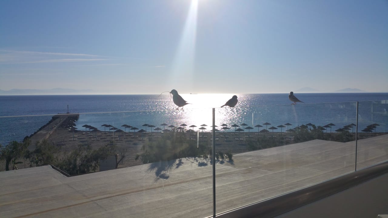 Frühstücksausblick TUI BLUE Oceanis Beach and Spa Resort