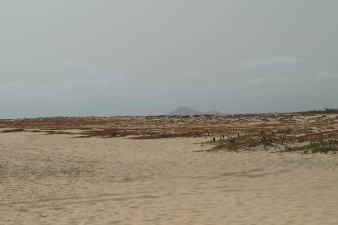 W oddali Góra Lwa Oasis Salinas Sea