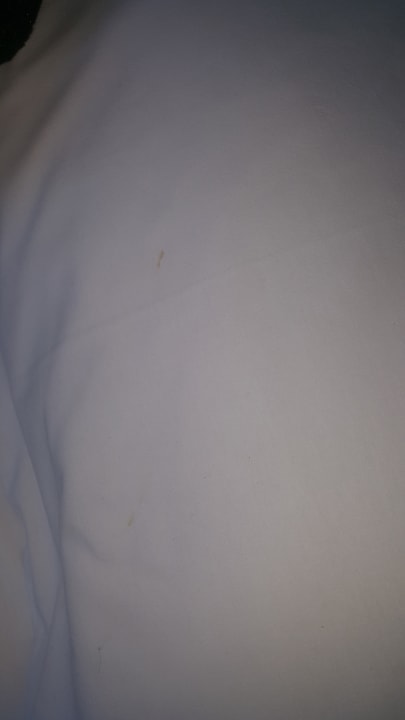 Zimmer Gold Island Selected