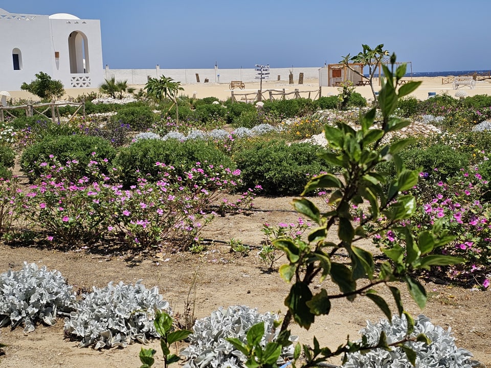 Außenansicht Beach Safari Nubian Resort