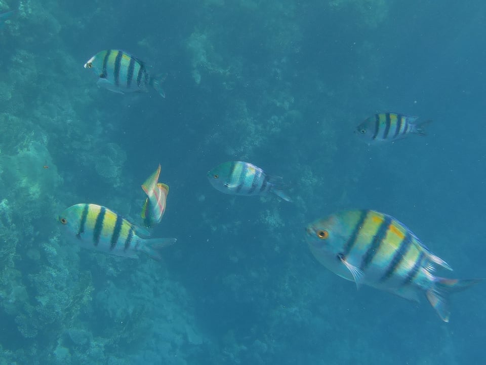 Strand Casa Mare Resort