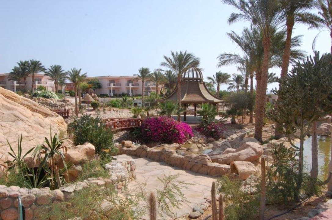 W drodze na plażę Parrotel Beach Resort