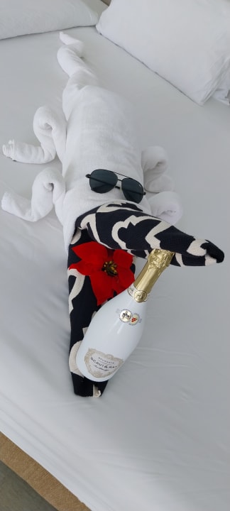 Zimmer Steigenberger Resort Alaya Marsa Alam - Red Sea - Adults only