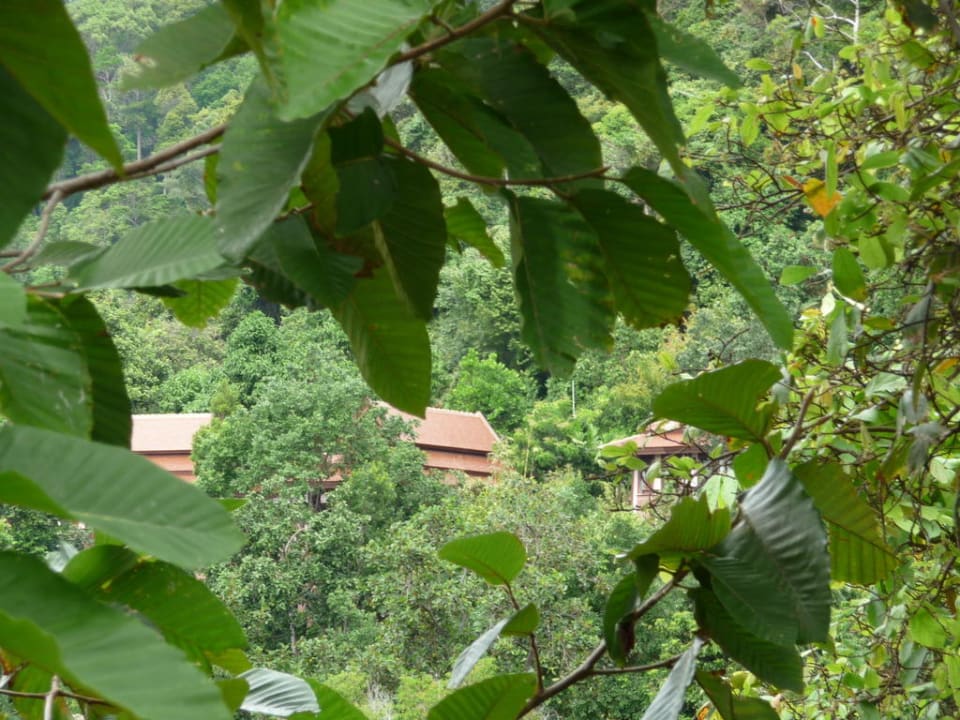 Villa 702 Hotel Pimalai Resort & Spa