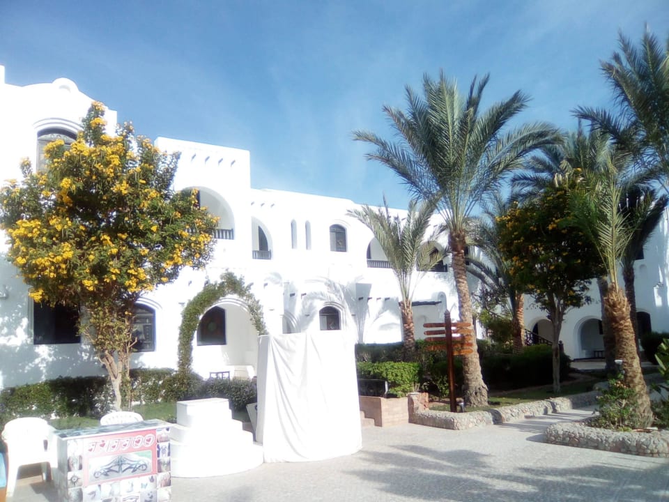 Hotelzimmer Arabella Azur Resort