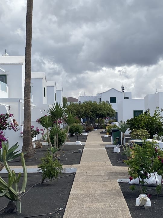 Gartenanlage Hotel Hyde Park Lane