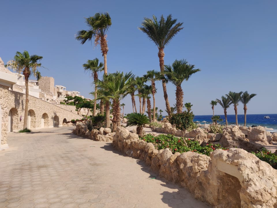 Strand Pickalbatros Citadel Resort