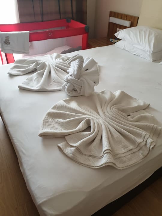 Zimmer Calimera Hane Garden