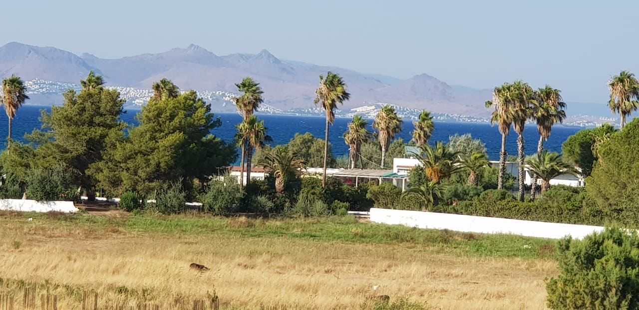 Ausblick Hotel Tropical Sol