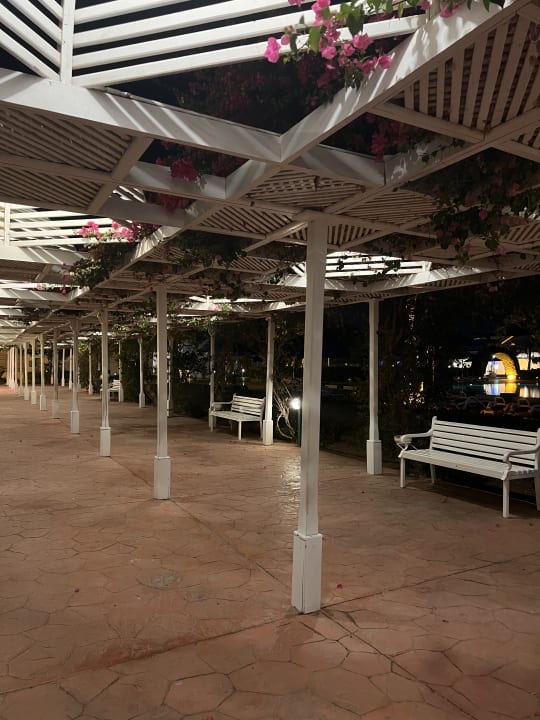 Gartenanlage Desert Rose