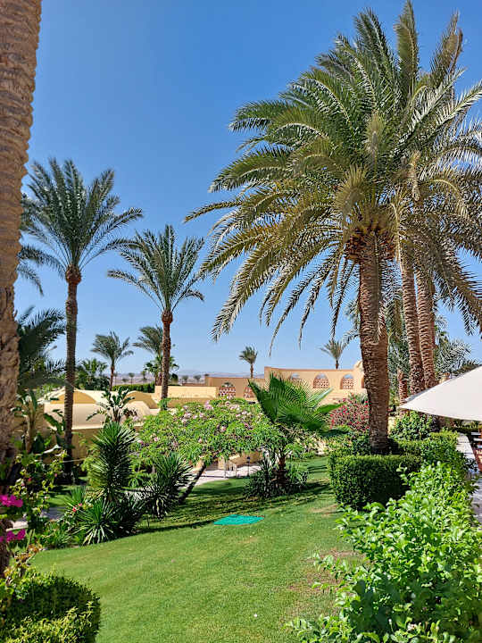 Gartenanlage Steigenberger Coraya Beach - Adults only