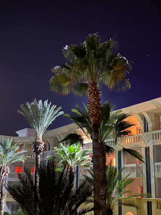 Gartenanlage Hotel Medina Belisaire & Thalasso