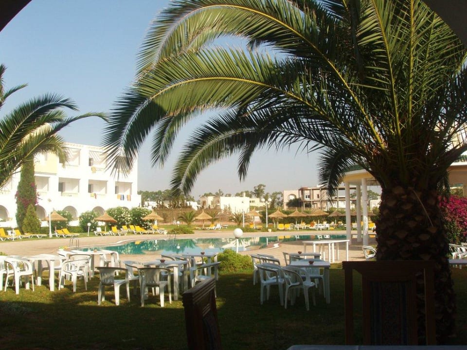 Widok na basen Hotel Zodiac