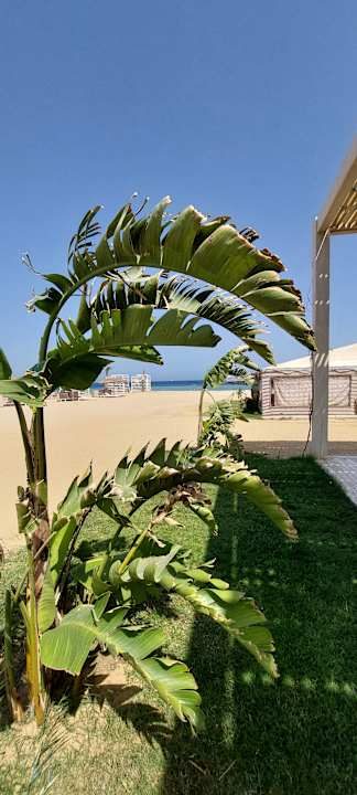 Ausblick SUNRISE Anjum Resort Marsa Alam