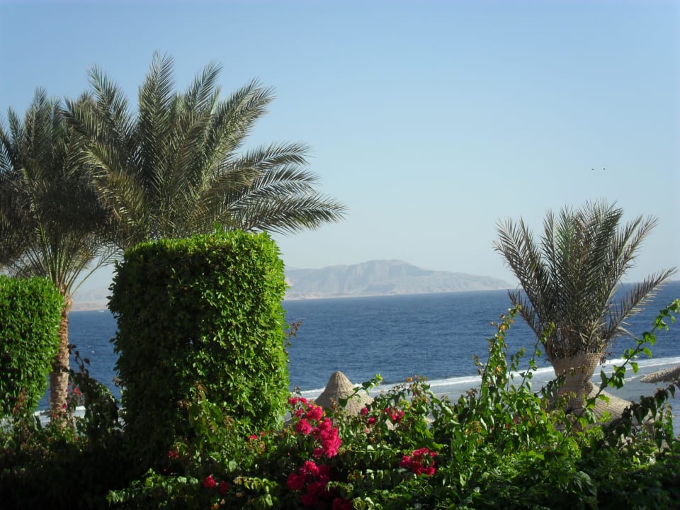 Ogród Hotel Nubian Village