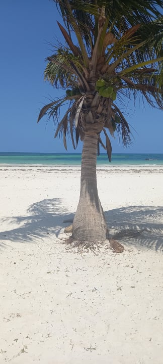 Außenansicht Neptune Village Beach Resort & Spa