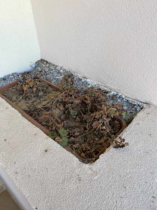 Zimmer Aqua Fantasy Aquapark Hotel & Spa