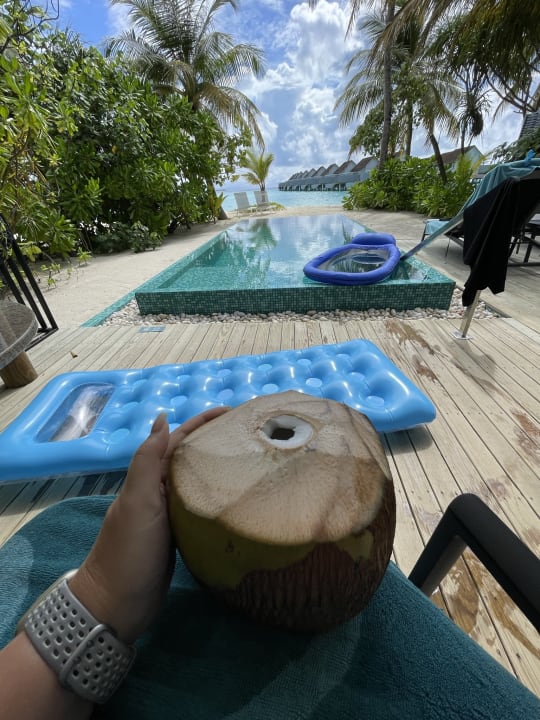 Gastro Outrigger Maldives Maafushivaru Resort