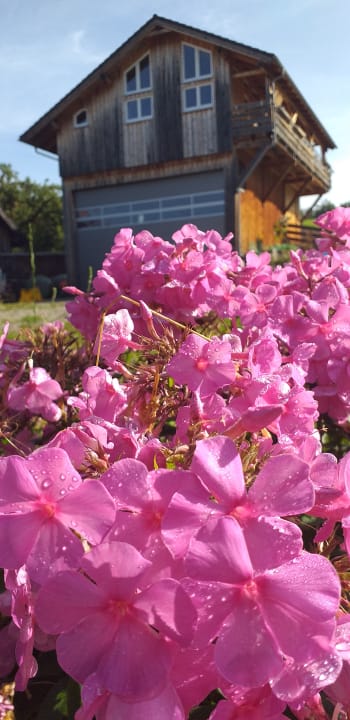 Außenansicht Ferienhof Stiefel| Allgäu-Urlaub |