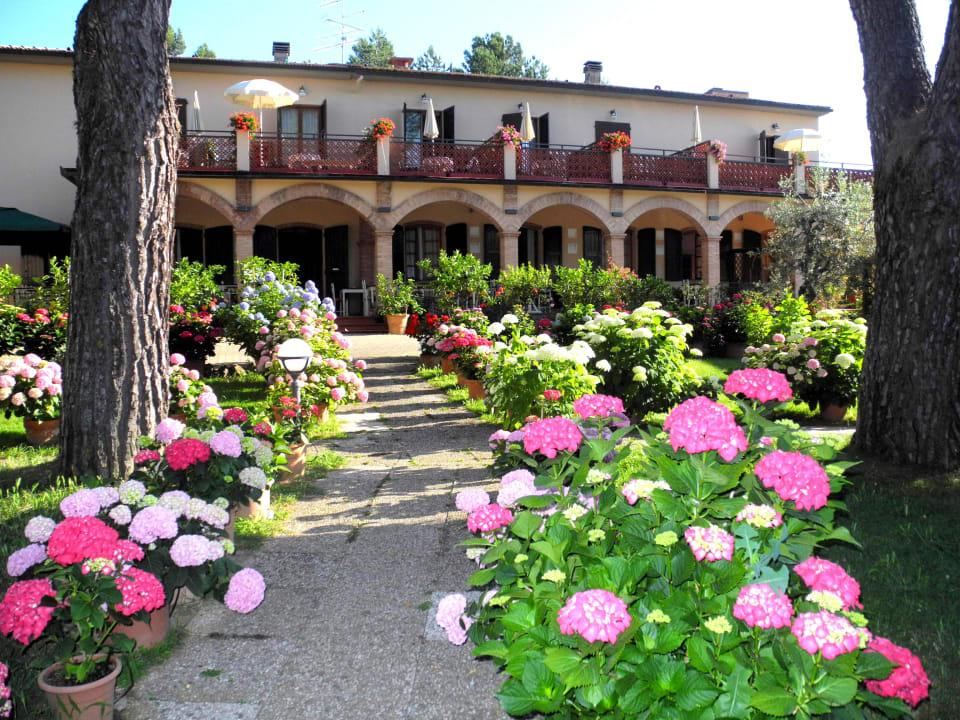GIARDINO DI ORTENSIE Hotel Le Renaie