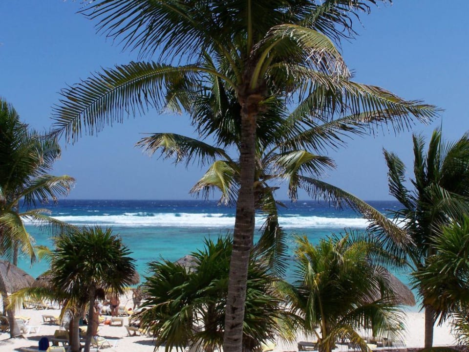 Meerblick vom Zimmer Grand Oasis Tulum Riviera - All Inclusive