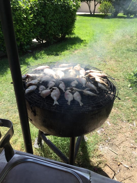 Snackbar Mahdia Beach & Aquapark