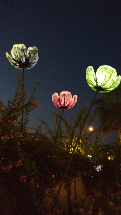 Sonstiges Side Alegria Hotel & Spa - Adults only +16