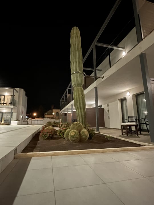 Außenansicht H10 Ocean Dreams - Adults only