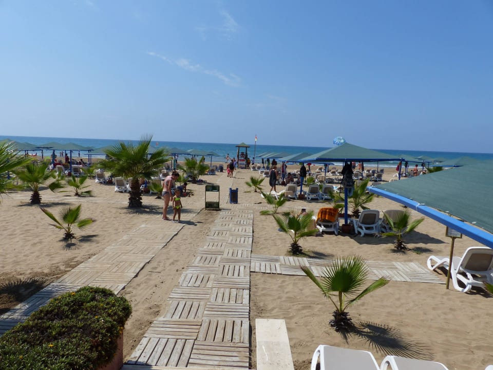 *-* Paloma Oceana