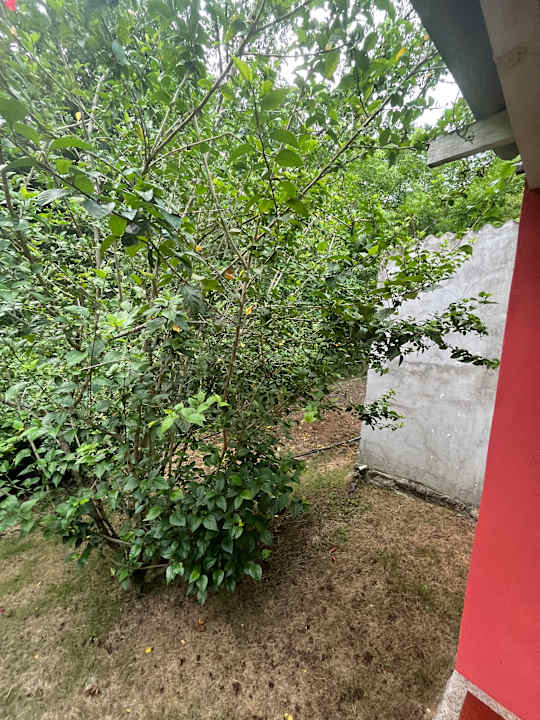 Ausblick Hostal Recuerdos del Tayrona