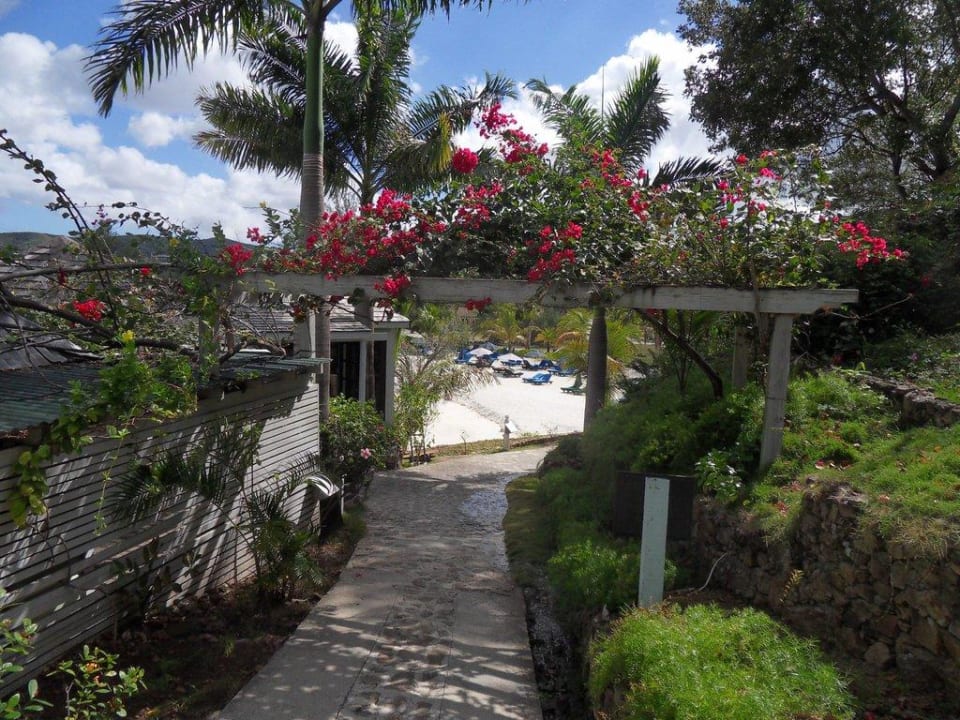 Blick Richtung Hotel-Strand Cocos Hotel Antigua