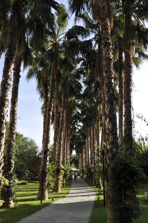 Gartenanlage Hotel Gardenia Beach