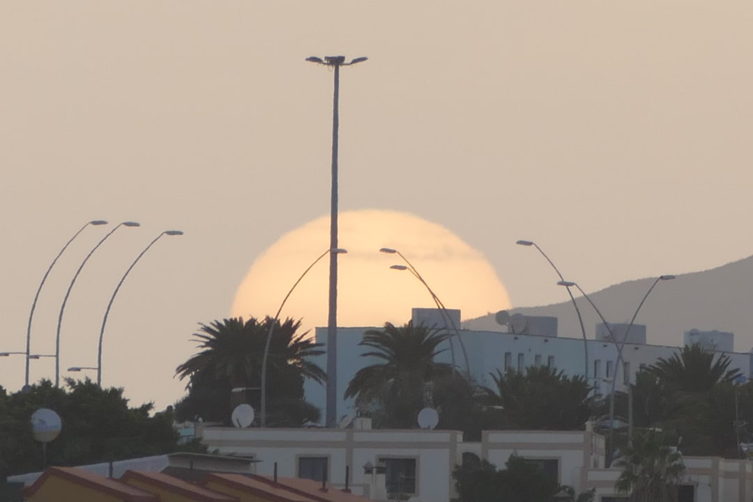 Ausblick Apartment Palm Garden By LIVVO