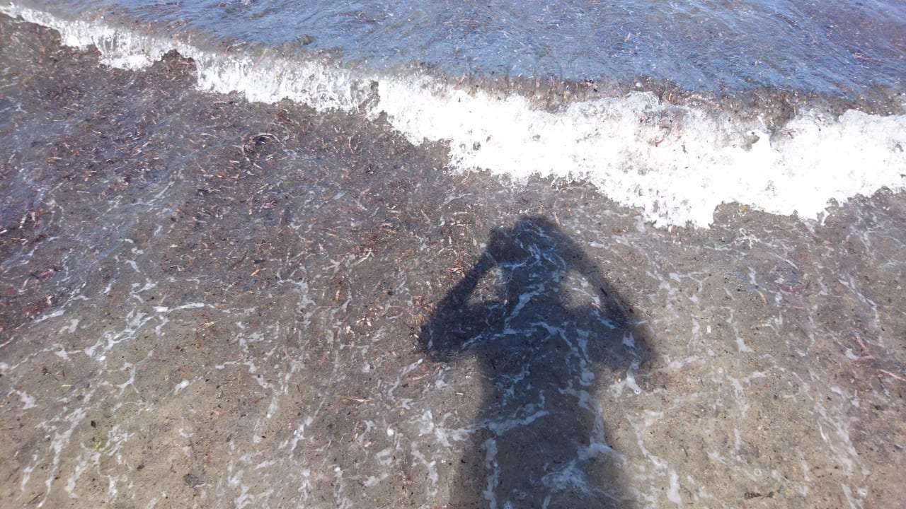 Das WWasser und Strand verdreckt Playabachata Hotel