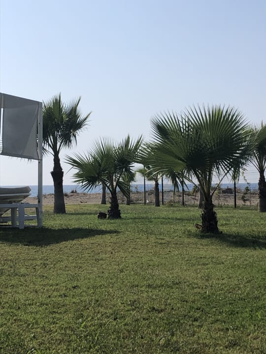 Gartenanlage Sultan of Dreams Hotel & Spa