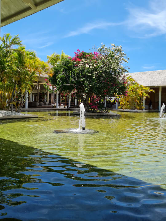Lobby Meliá Punta Cana Beach Resort - A Wellness Inclusive For Adults Only