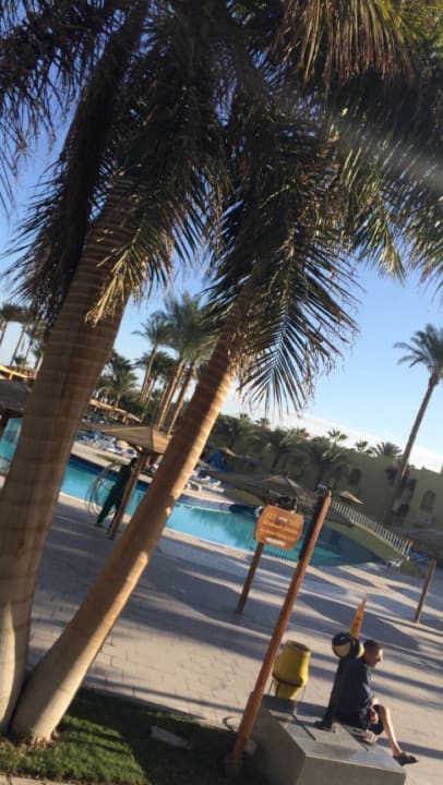 Pool Palm Beach Resort