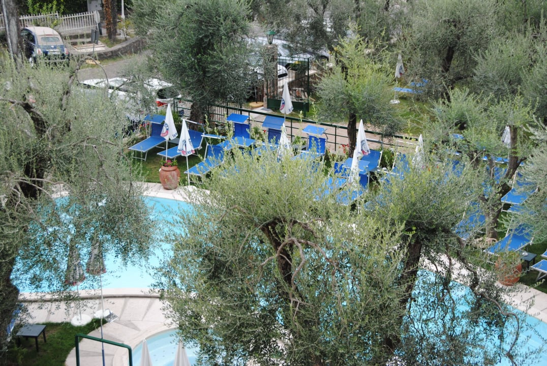 Poolanlage Hotel Internazionale