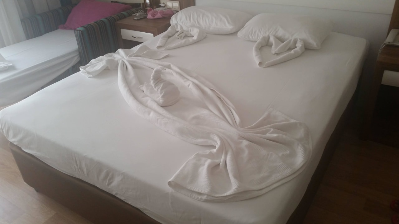 Jeden Tag sehr schön gemacht Dizalya Palm Garden